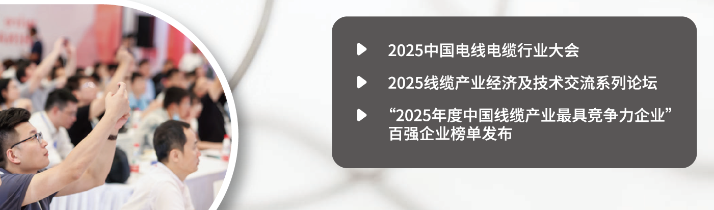王中特王3408