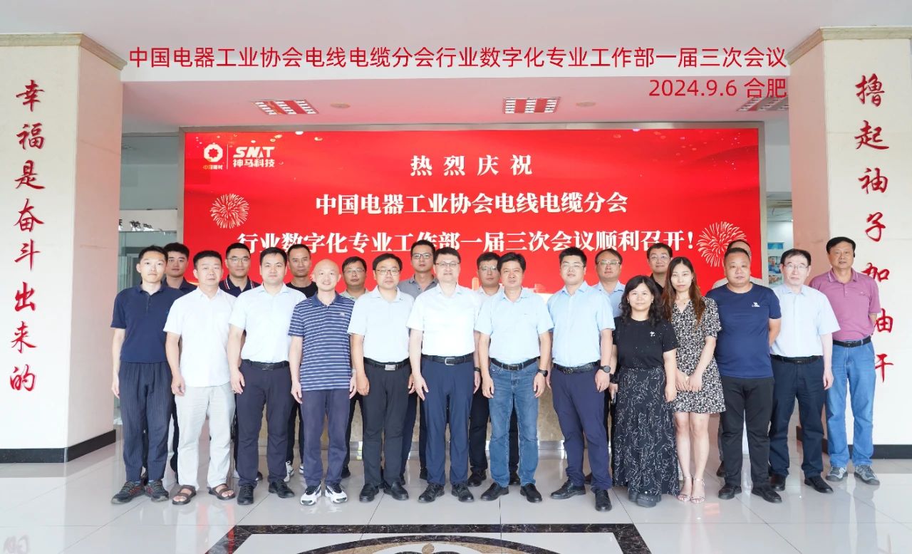 王中特王3408